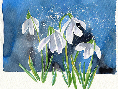 Watercolour snowdrops floral flower illustration snowdrops watercolor watercolor painting