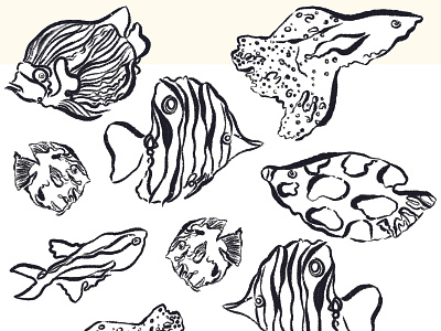 Colour in fish animal drawing fish illustration procreate