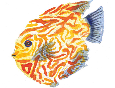 Tropical yellow animal fish illustration watercolour