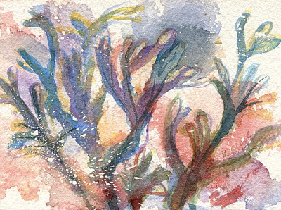 Seaweed painting illustration painting seaweed watercolour