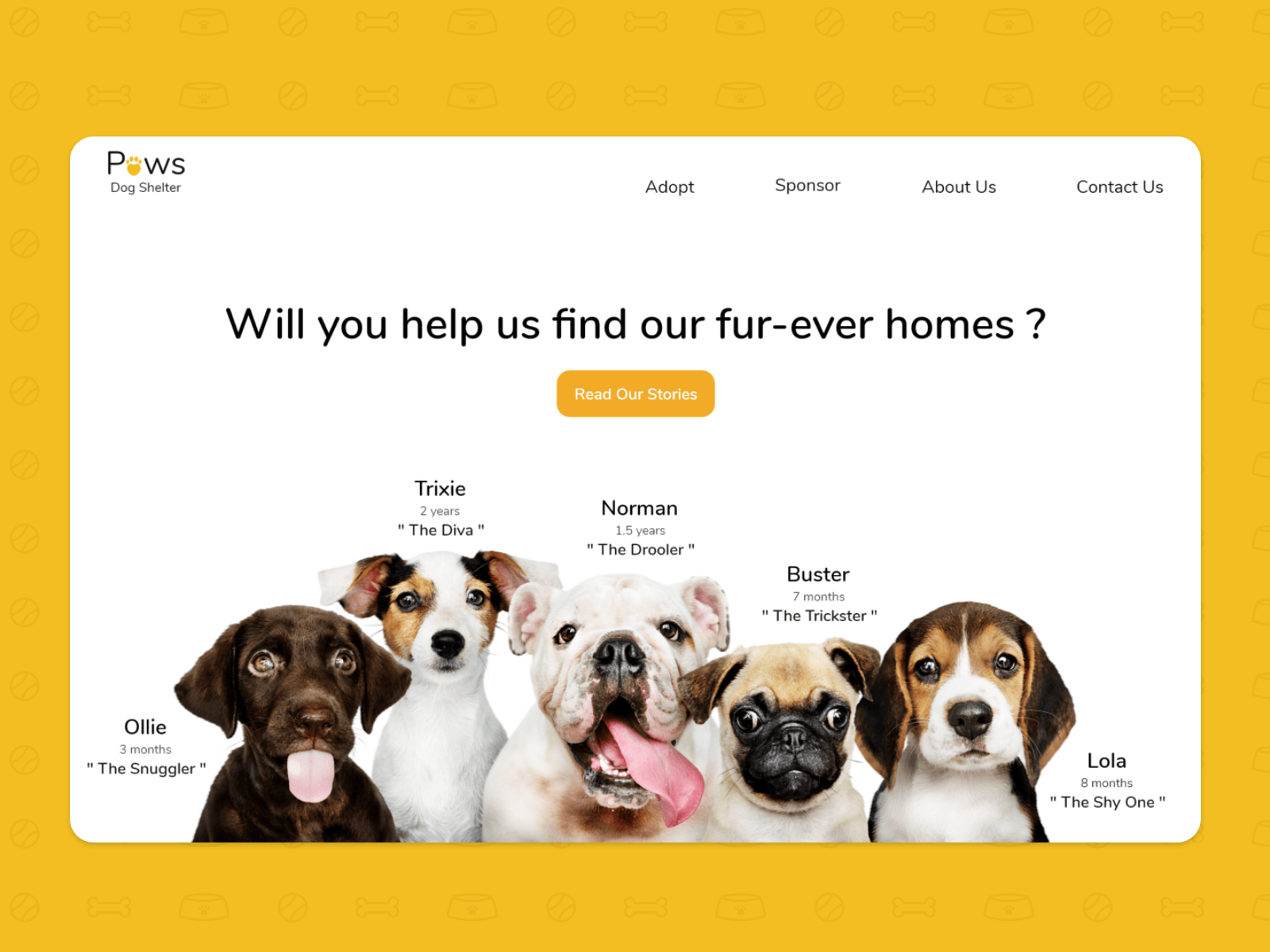 Pet Adoption - Landing Page By Maria On Dribbble