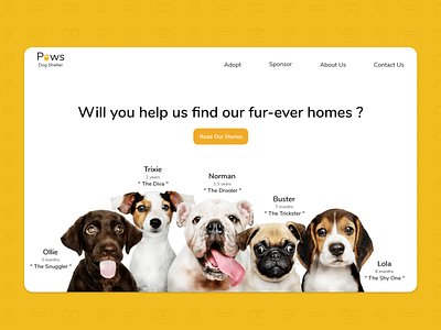 Pet Adoption - Landing Page adobexd design dog shelter landing page pet pet adoption ui ux