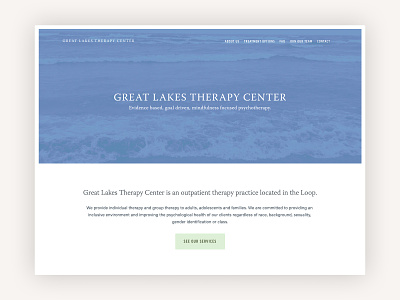 Great Lakes Therapy Center chicago squarespace therapy web design website website design