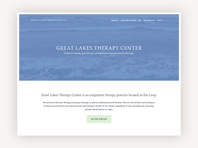 Great Lakes Therapy Center chicago squarespace therapy web design website website design