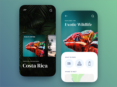 Costa Rica Travel app product design travel ui ux