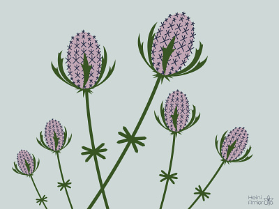 Mystic Garden floral - Thistles creative design floral flower illustration illustration art illustrator thistle vector vector illustration vectorart wildflower