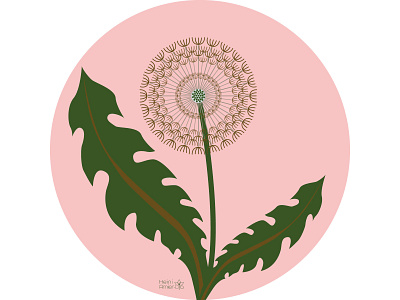 Mystic Garden floral - Dandelion creative dandelion design floral flower flower illustration illustration illustration art illustrator vector vector illustration vectorart wildflower