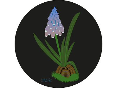 Mystic Garden floral - Grape Hyacinth creative design floral flower illustration illustration art illustrator vector vector illustration vectorart