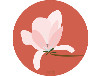 Mystic garden - Pink Magnolia bloom blooming creative design floral flower garden illustration illustration art illustrator magnolia pink vector vector illustration vectorart