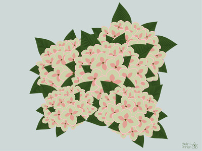 Mystic Garden - Hydrangeas creative design floral flower hydrangea illustration illustration art illustrator vector vectorart