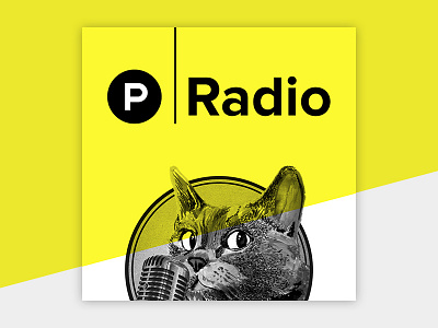 Product Hunt Radio Podcast Artwork 2 cat podcast product hunt radio