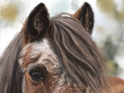 49 year old pony animal brushstrokes digital drawing horse illustration painted painting photoshop pony portrait realistic