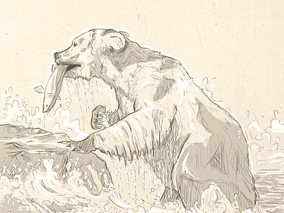 Bear sketch bear drawing illustration sketch