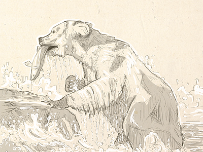 Bear sketch