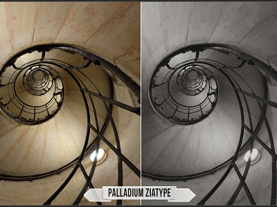 Palladium Ziatype