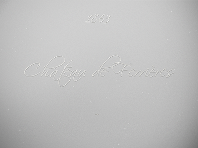 Château de Ferrières concept contrast design graphic graphicdesign grey script typography