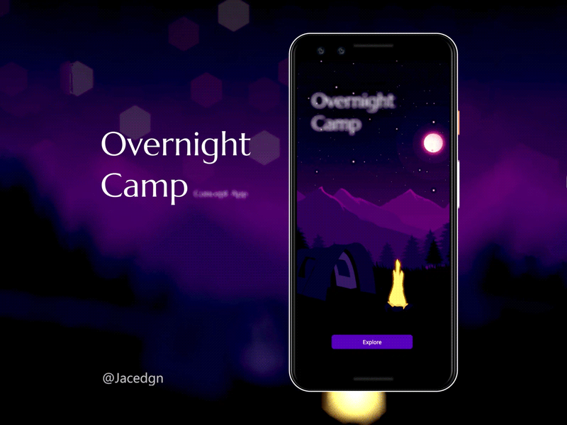 Overnight camp animation app branding campfire camping design fire illustration night ui ux vector