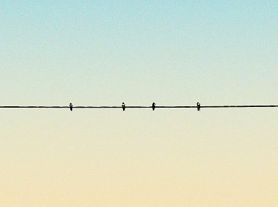 Swallows on the wire adobe illustrator art artwork birds colors design georgia gradient gradient design graphic design illustration inspiration minimalism nature nature art poster poster art poster design swallows wire