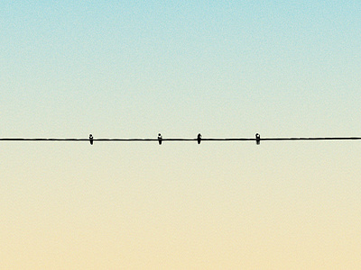 Swallows on the wire