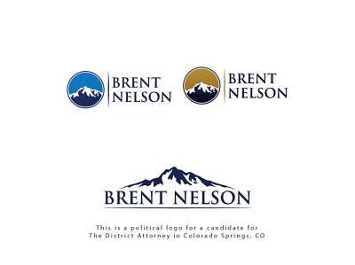 Brent Nelson Logo Concept branding logo minimalist