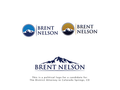 Brent Nelson Logo Concept