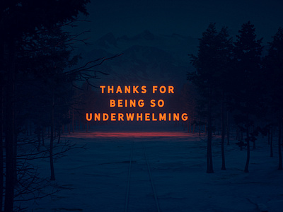 Thanks for being so underwhelming forest glow mountains night orange quote snow text train tree trees type typeface typography wes anderson wes anderson style