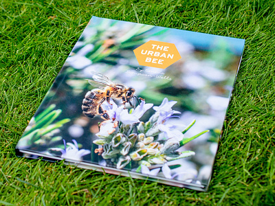 The Urban Bee bee book cover design graphic design indesign nature photography photography