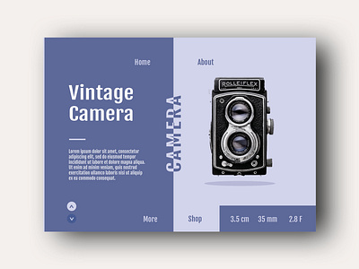 Vintage Camera - Product Page brand identity branding creative design flat illustration landing page product typography ui ux vintage web webdsign