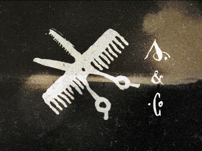 S&co. barbershop bird comb letters logo scissor symbol wings