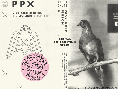 Passenger Pigeon X branding co working space marks nantes passenger philadelphia pigeon ppx