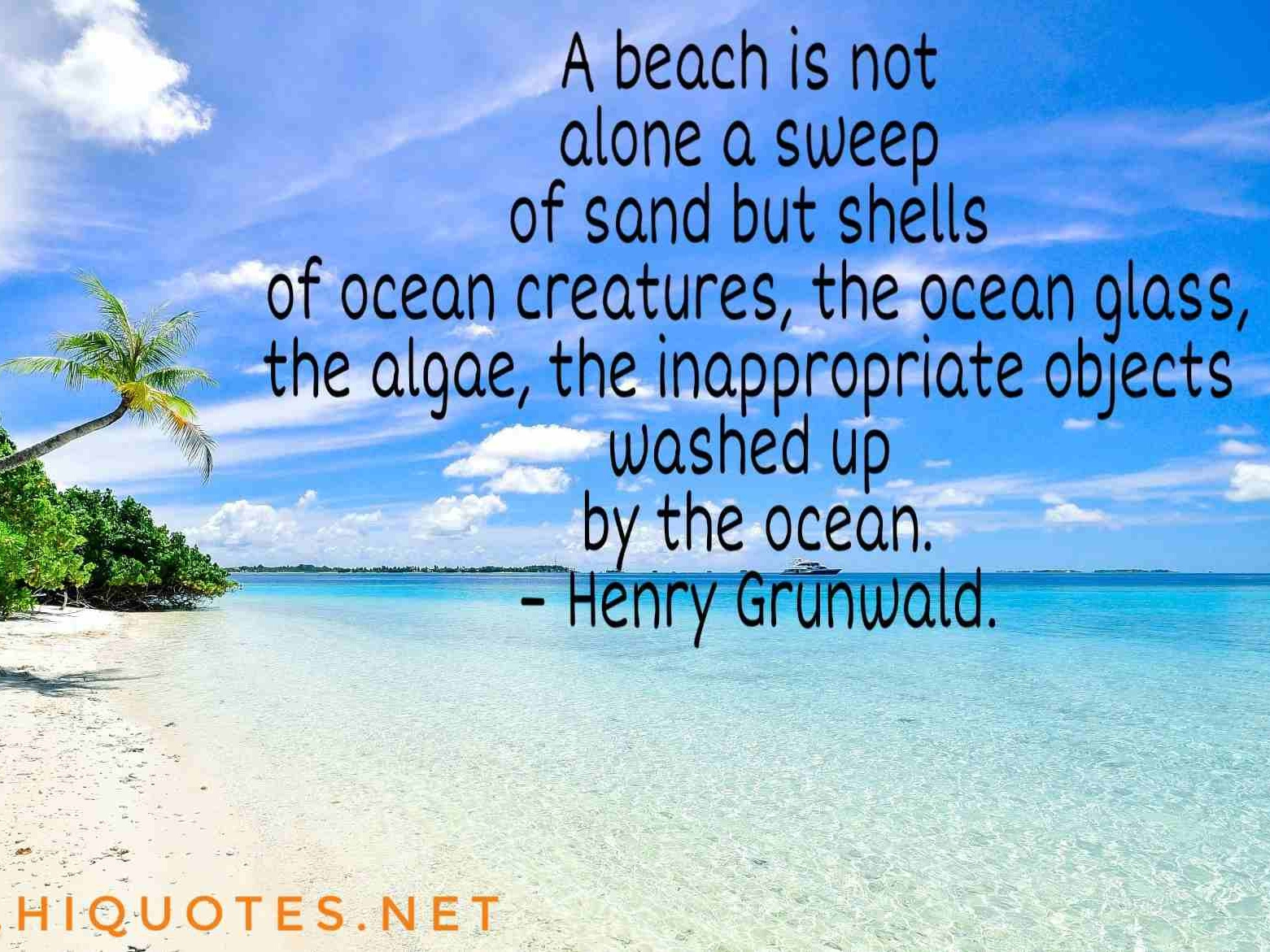 Beach Captions 01 by Whatsapp Video Statuses on Dribbble