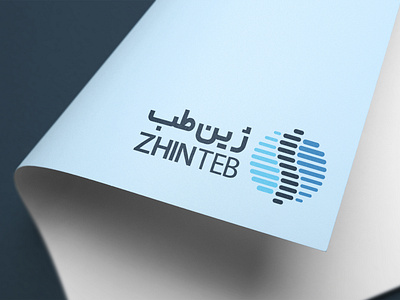 Zhinteb.com Logo design