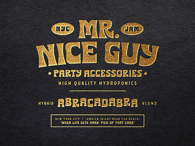 Mr Nice Guy Branding