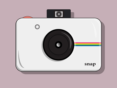 Polaroid Camera design icon icon design illustration illustration art illustrator logo logodesign polaroid vector vector illustration