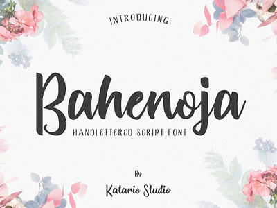 Bahenoja Font