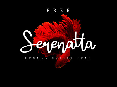 SERENATTA - FREE SCRIPT FONT bounce bouncy brand culinary dafont font food free free font free script font freebies fun handwriting ligature logo music playful script typography wedding