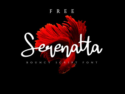 SERENATTA - FREE SCRIPT FONT