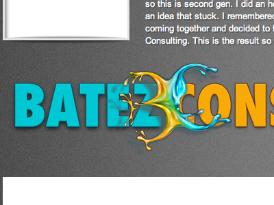 Batez Logo design icons logo web design