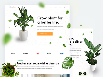 Plant Shop - ecommerce landing page ecommerce plant web design website