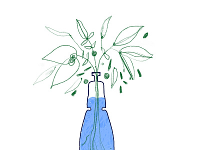 Green leaves in a water bottle hand drawn illustration minimal website