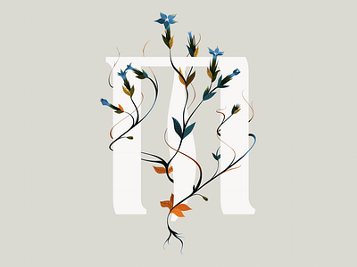 Typography Floral Poster Gentiana Nivalis Illustration