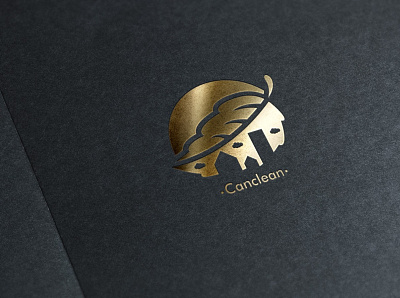 Canclean 01 concept design design logo art icons customers designer illustrator logo vector