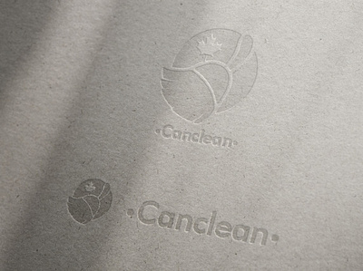 Canclean 02 branding concept design design logo art icons customers designer illustration illustrator logo vector