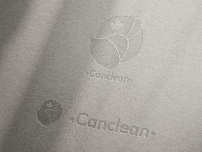 Canclean 02