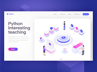 python web design webdesign