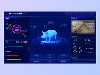 Pig Intelligence Analysis ui ux 图标