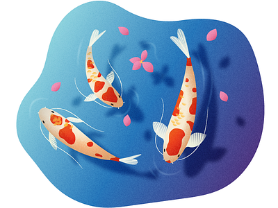 Koi illustration