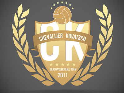 Logo for a beach volleyball team beach volleyball logo emblem handball illustrator logo vector