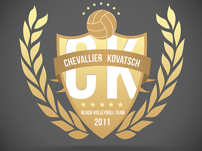 Logo for a beach volleyball team