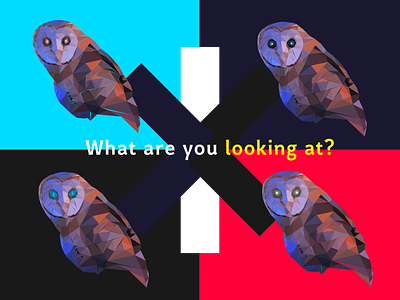 Art | Owl art design illustration illustrator
